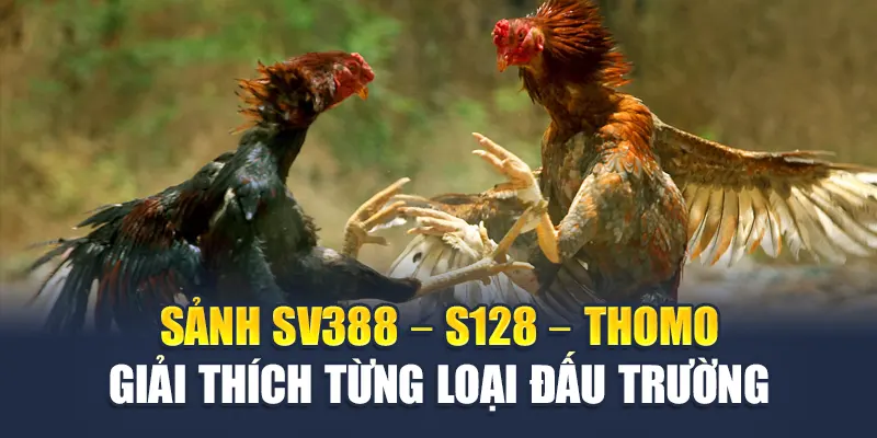 Sảnh SV388 – S128 – Thomo giải thích từng loại đấu trường